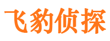 襄阳外遇出轨调查取证